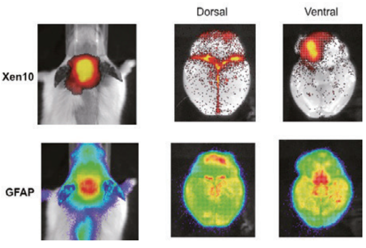 LT參數000成(chéng)像标記2